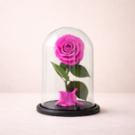 Παντοτινό Φούξια Τριαντάφυλλο - (Preserved Rose by RoseAmor)