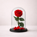 Παντοτινό Κόκκινο Τριαντάφυλλο - (Preserved Rose)