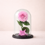 Παντοτινό Ροζ Τριαντάφυλλο - (Preserved Rose by RoseAmor)