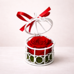 Παντοτινό Κόκκινο Τριαντάφυλλο σε κλουβί - (Preserved Rose)